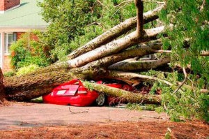 acidentes seguro carro