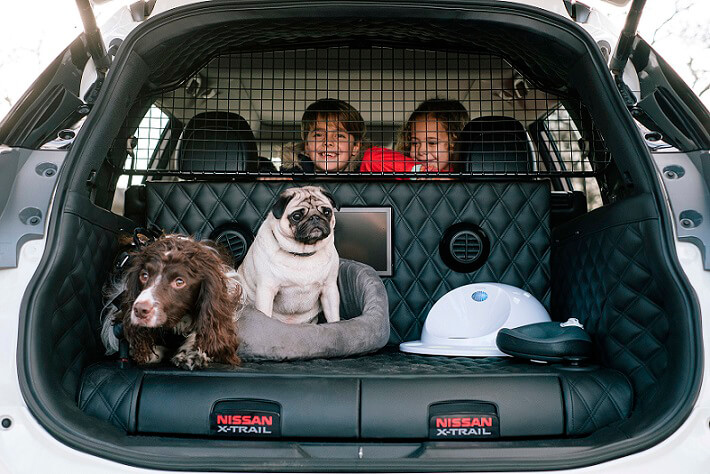 Transporte de cachorro: conheça o carro familiar adaptado para pets